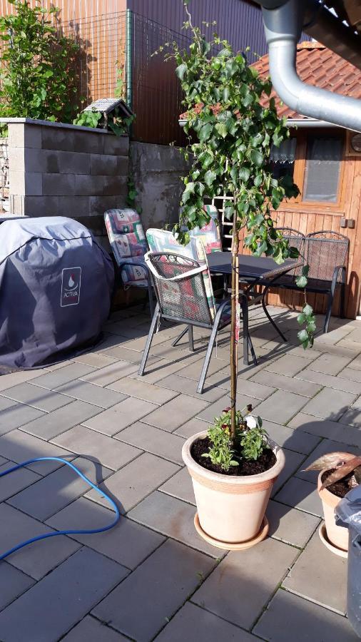 Apartman U Potoka Sadov 外观 照片